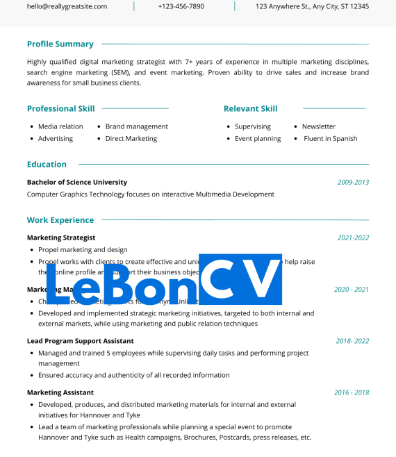 CV Enseignant(e) Modèle 117