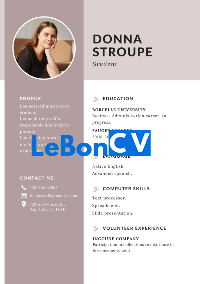 CV community manager Modèle 107