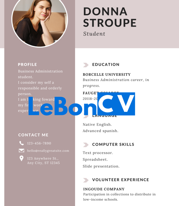 CV community manager Modèle 107