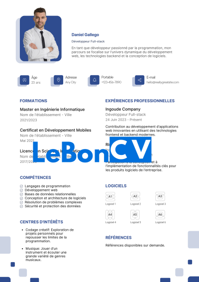 CV développeur web Modèle 106