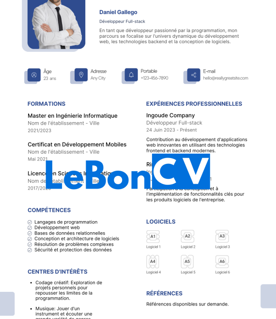 CV développeur web Modèle 106