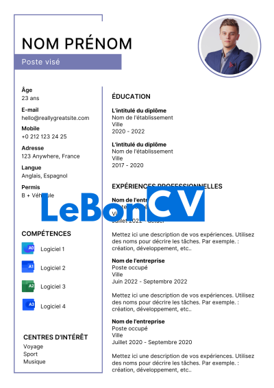 CV développeur web Modèle 108