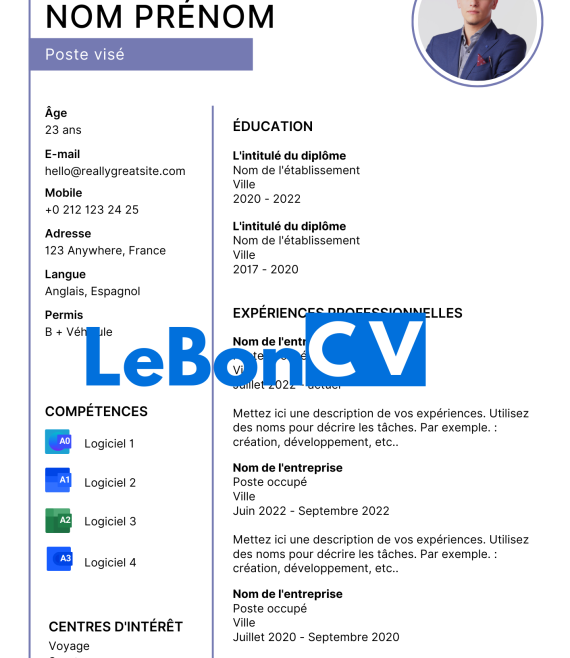 CV développeur web Modèle 108