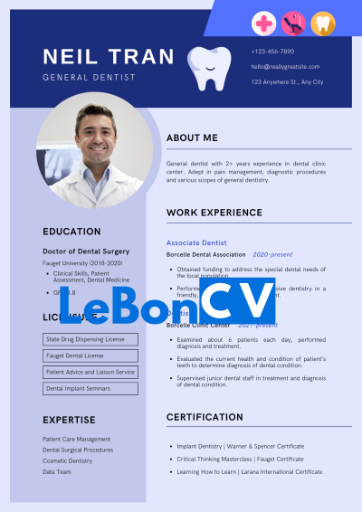 CV docteur Modèle 101