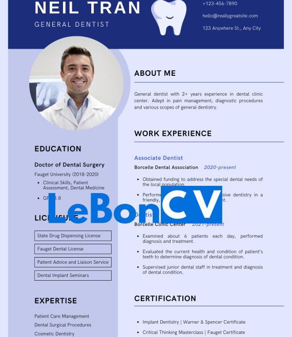 CV docteur Modèle 101