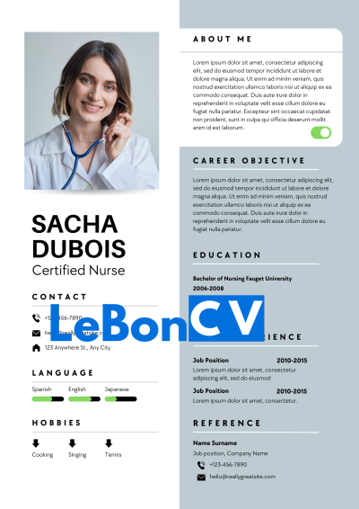 CV docteur Modèle 105