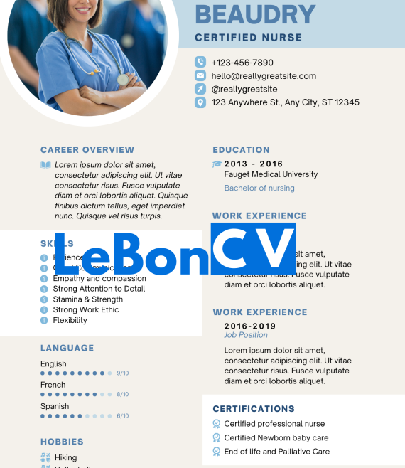 CV docteur Modèle 108