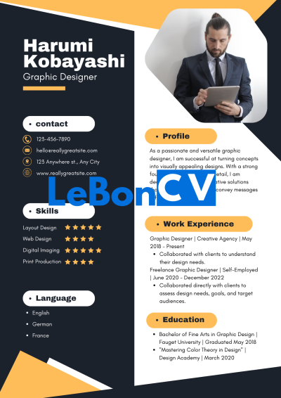 CV infographiste Modèle 102