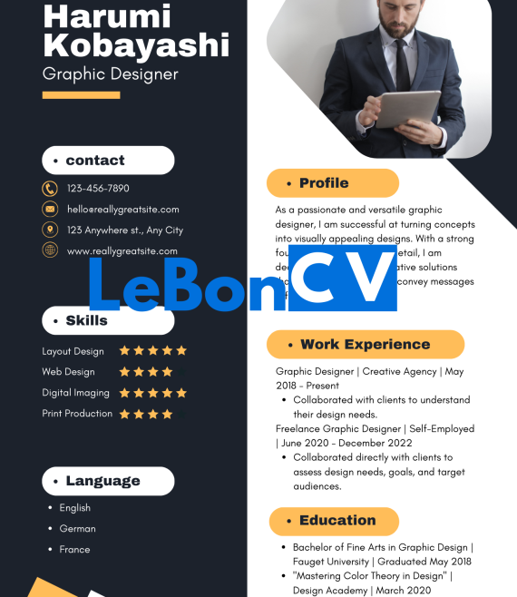 CV infographiste Modèle 102