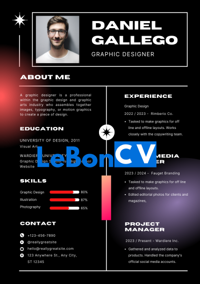 CV infographiste Modèle 104