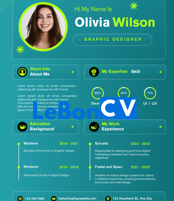 CV infographiste Modèle 105