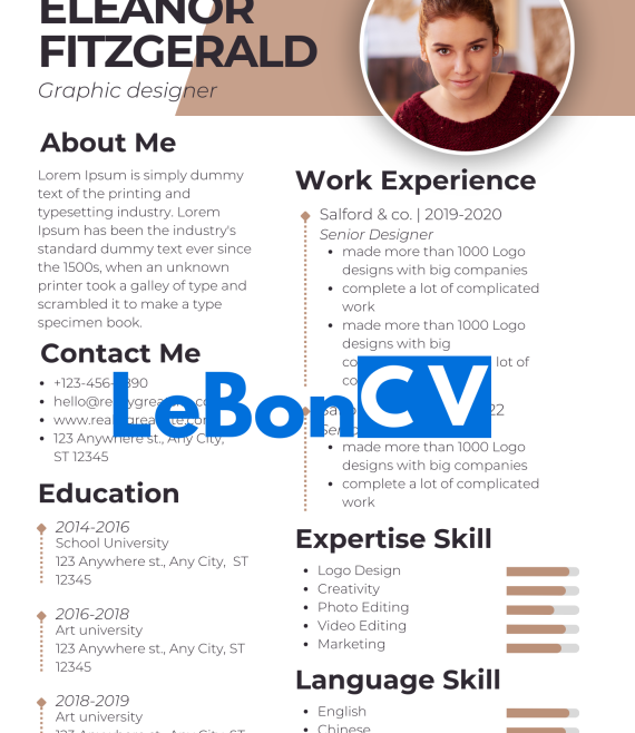 CV infographiste Modèle 107