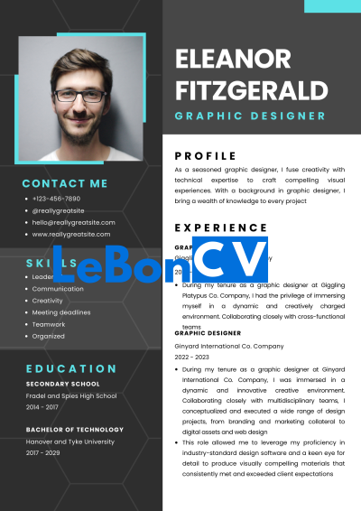 CV infographiste Modèle 108