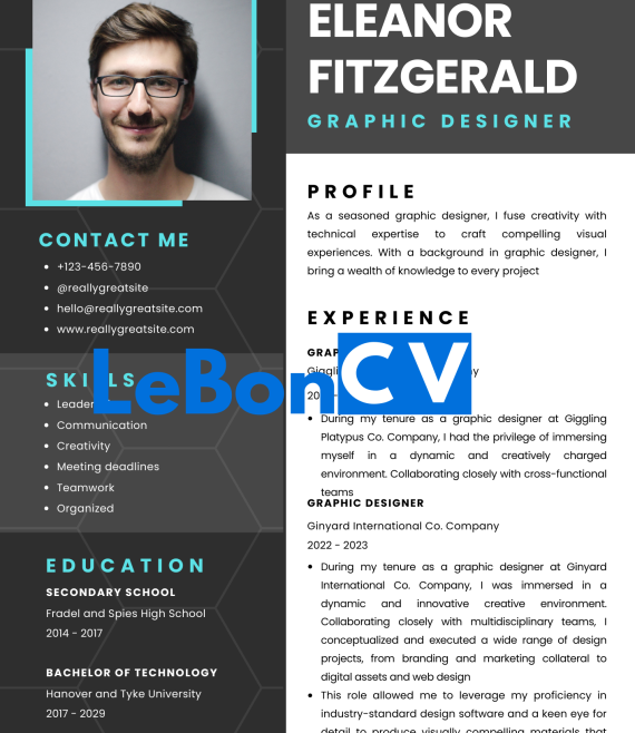 CV infographiste Modèle 108