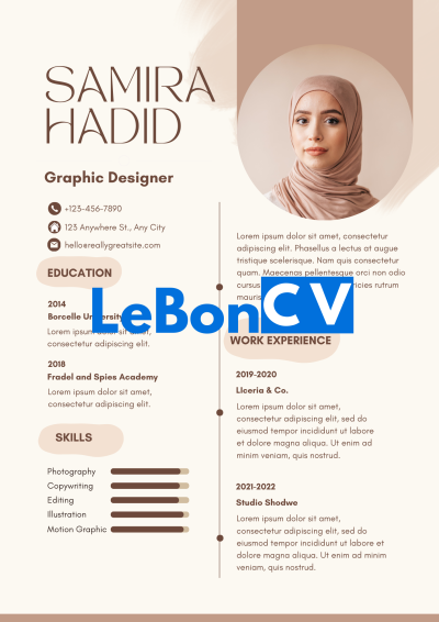 CV infographiste Modèle 109