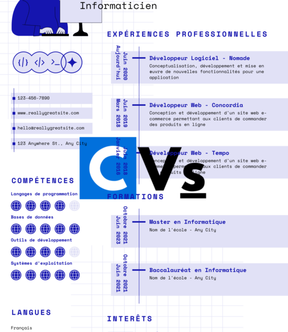 CV informaticien(ne)108