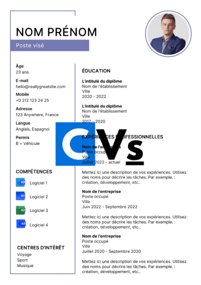 CV informaticien(ne)109