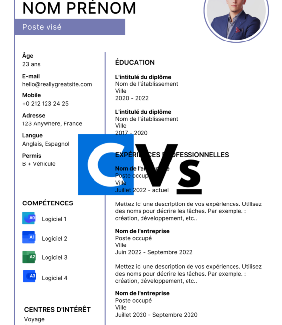 CV informaticien(ne)109