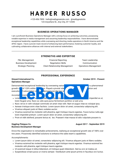 CV serveur(se) Modèle 12