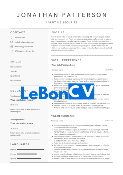 CV Agent de Sécurité Modèle 11