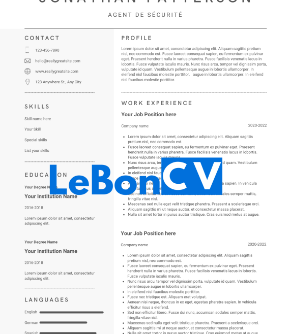 CV Agent de Sécurité Modèle 11