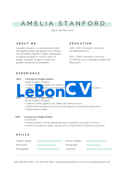 CV Agent de Sécurité Modèle 12