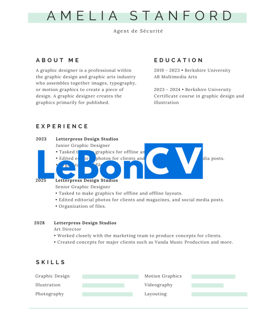 CV Agent de Sécurité Modèle 12