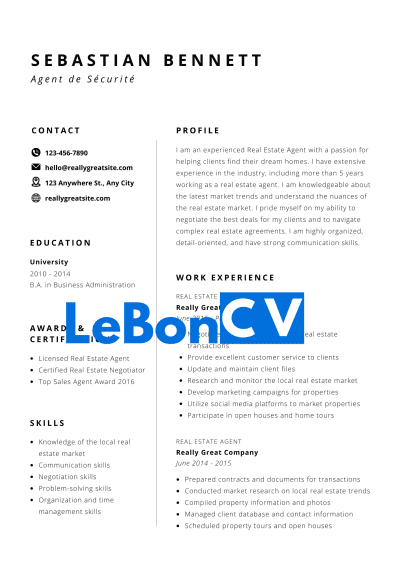 CV Agent de Sécurité Modèle 14