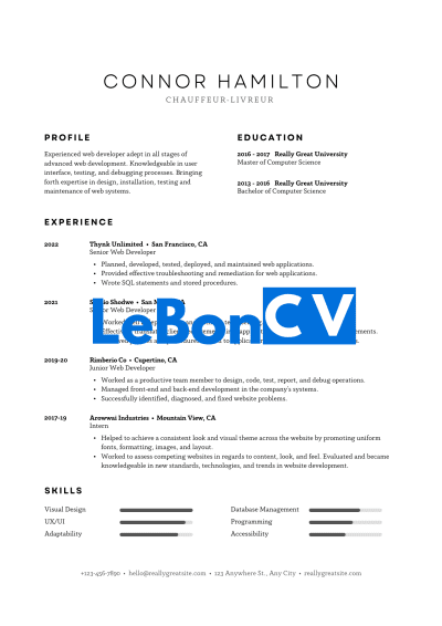 CV Chauffeur-Livreur modèle 11