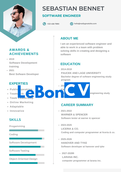 CV Ingénieur Modèle 11