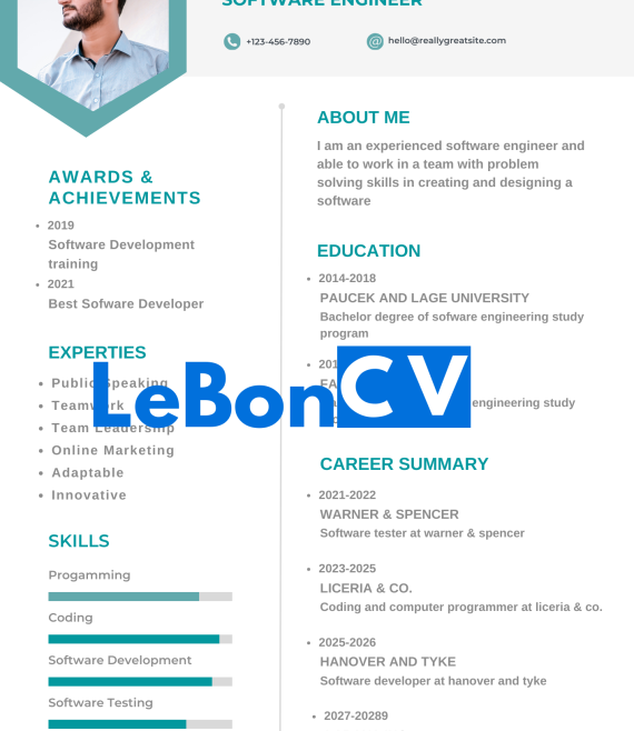 CV Ingénieur Modèle 11