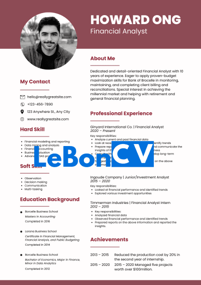 CV Ingénieur Modèle 13