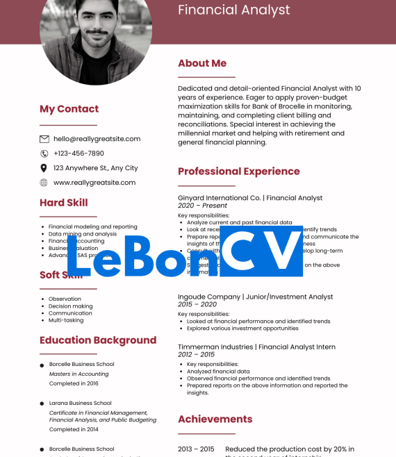 CV Ingénieur Modèle 13