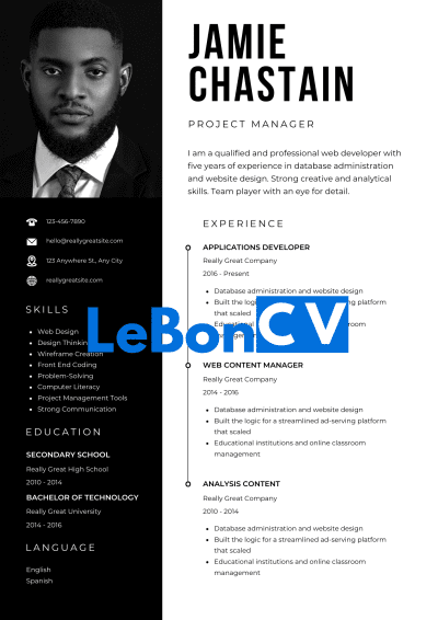 CV avocat modèle 14