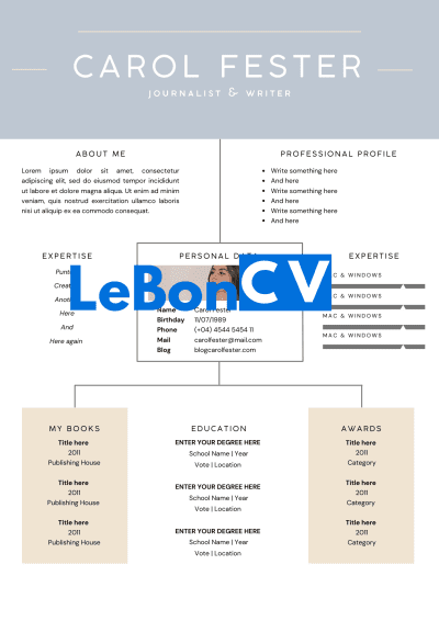 CV journaliste modèle 11