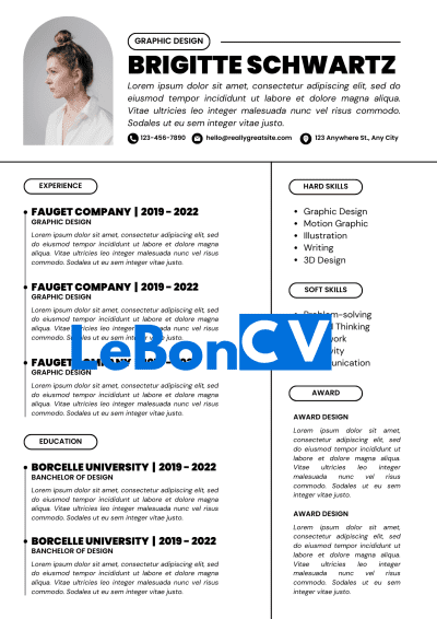 CV journaliste modèle 19