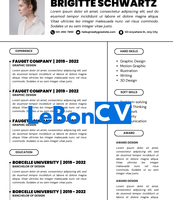 CV journaliste modèle 19